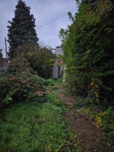 Seconde photo alternative du bien