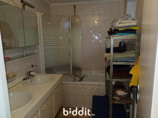 Troisième photo alternative du bien