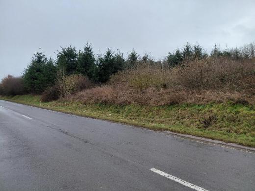 Image de présentation du bien n° 294146