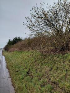 Troisième photo alternative du bien