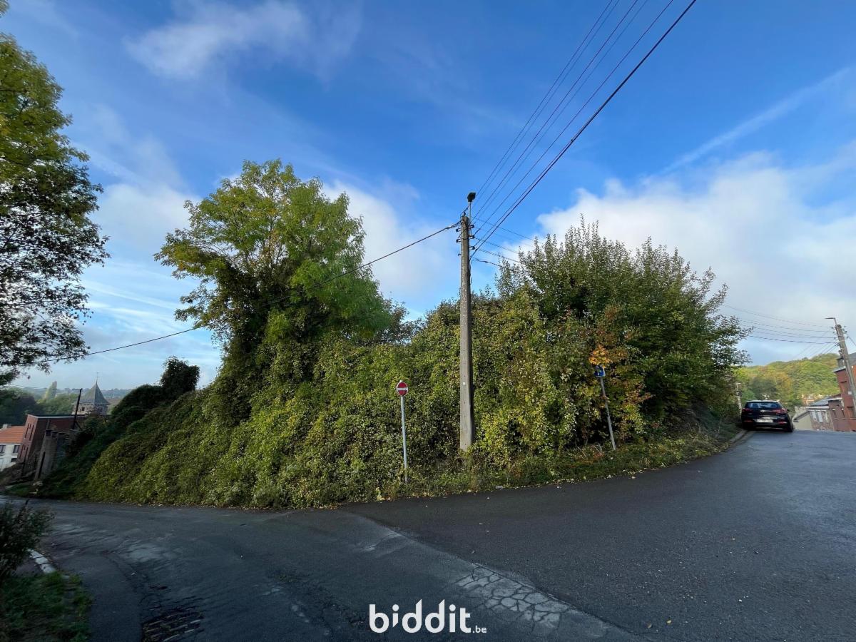 Image de présentation du bien n° 291323