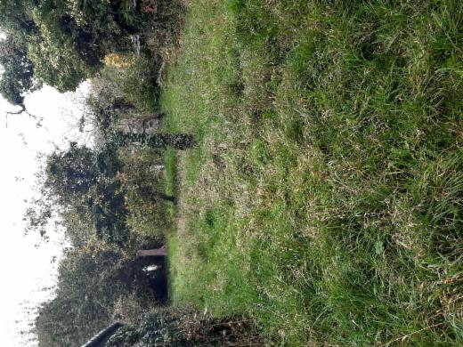 Première photo alternative du bien