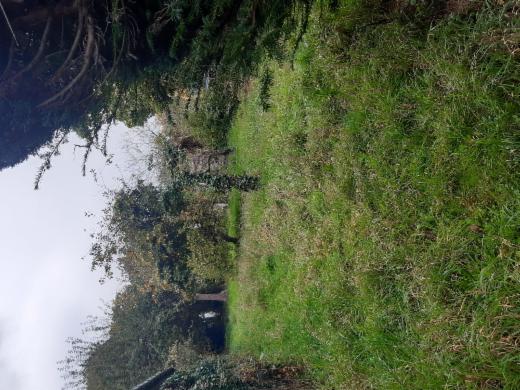 Seconde photo alternative du bien