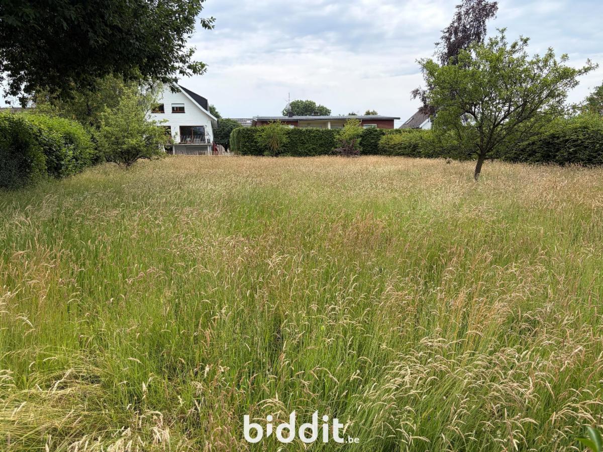 Image de présentation du bien n° 298174