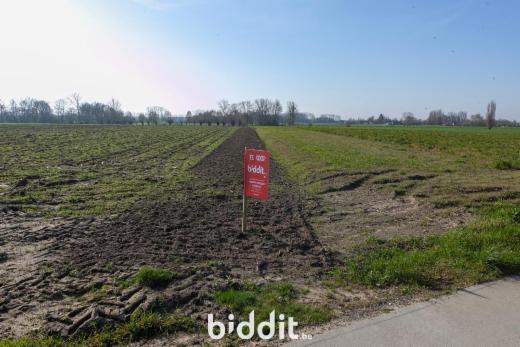 Troisième photo alternative du bien