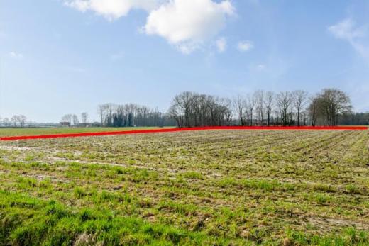 Troisième photo alternative du bien