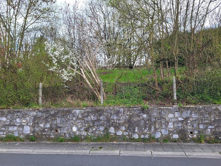 Image de présentation du bien n° 240901