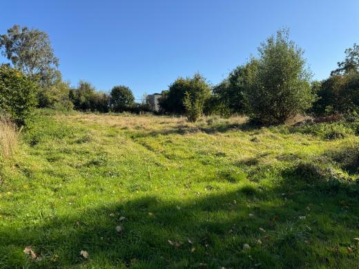 Image de présentation du bien n° 302255