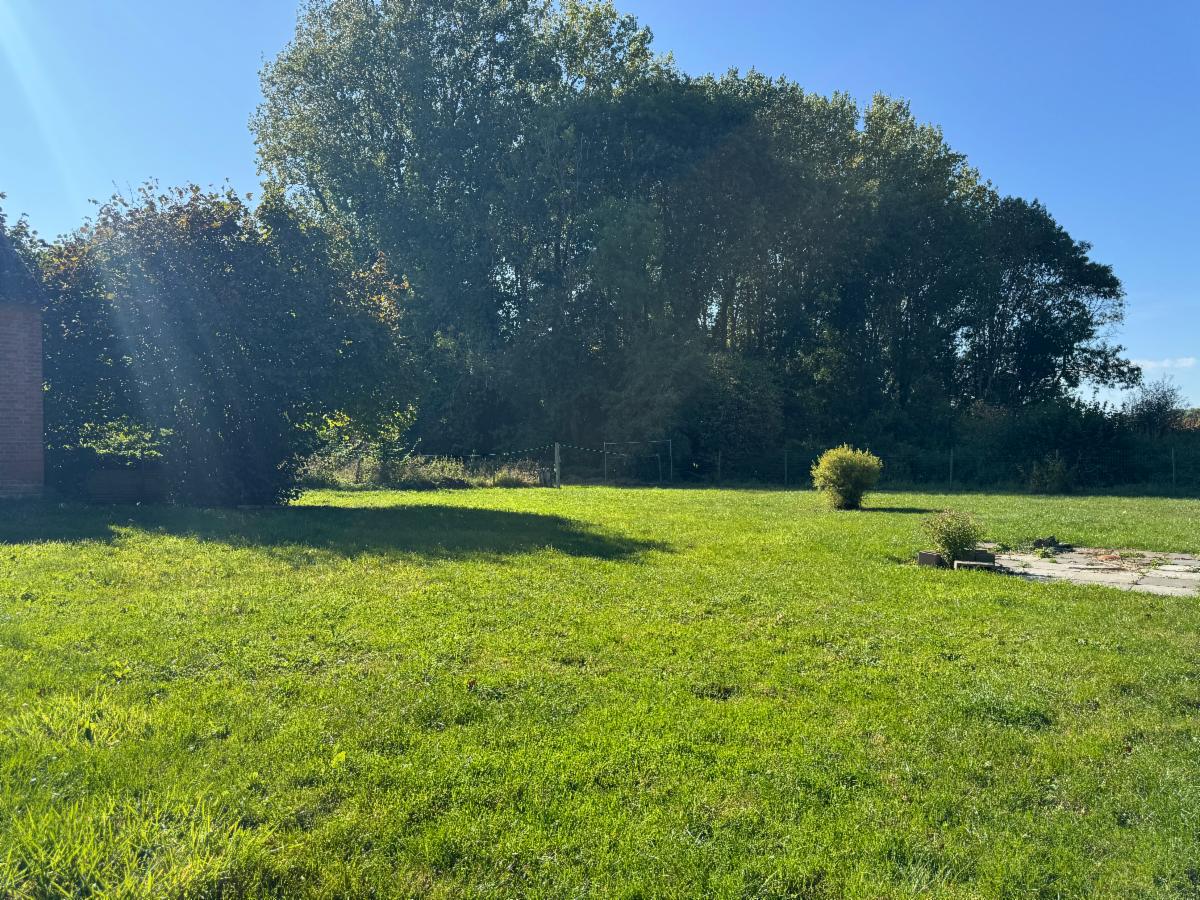 Image de présentation du bien n° 302274