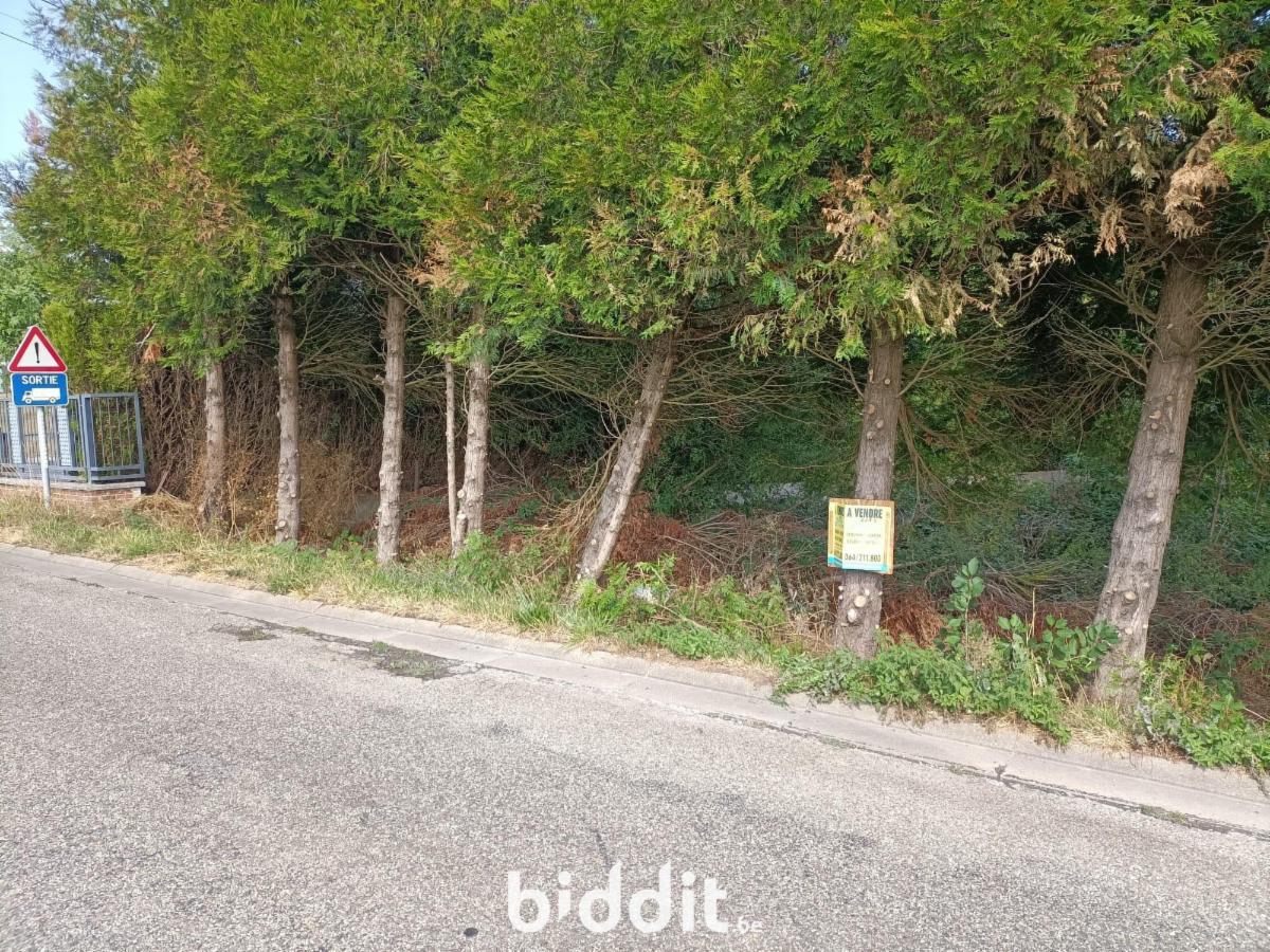 Image de présentation du bien n° 299860