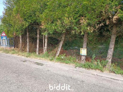 Image de présentation du bien n° 299860