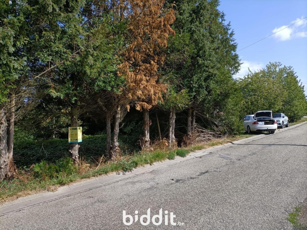 Image de présentation du bien n° 299861
