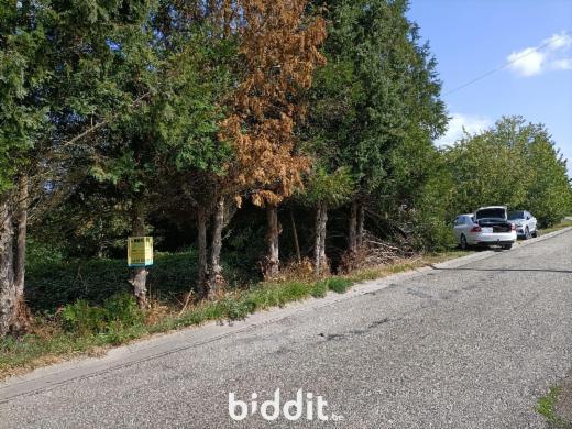 Image de présentation du bien n° 299861