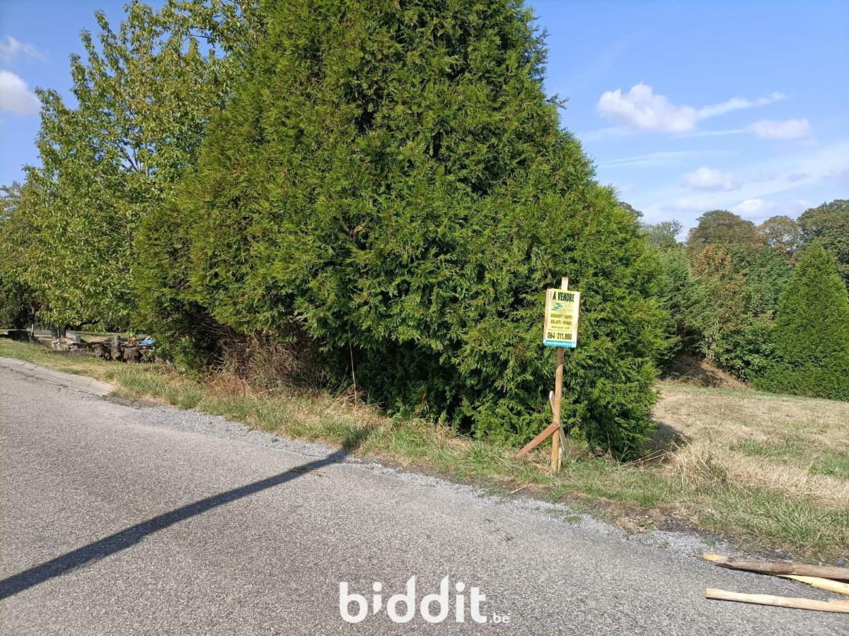 Image de présentation du bien n° 299863