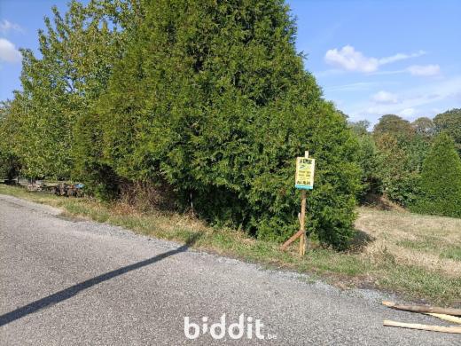 Image de présentation du bien n° 299863