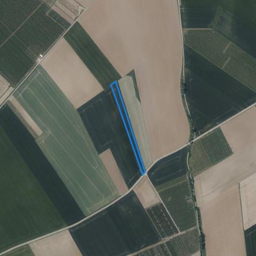 Image de présentation du bien n° 302362