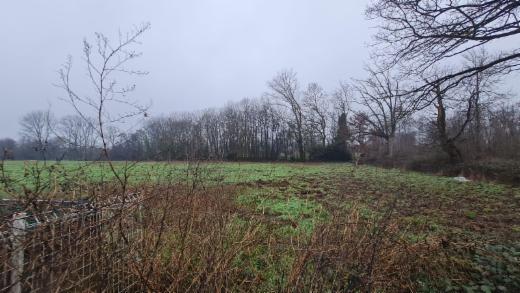 Première photo alternative du bien