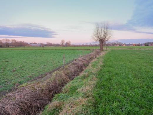 Image de présentation du bien n° 291846