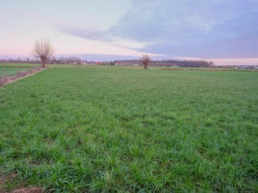 Troisième photo alternative du bien