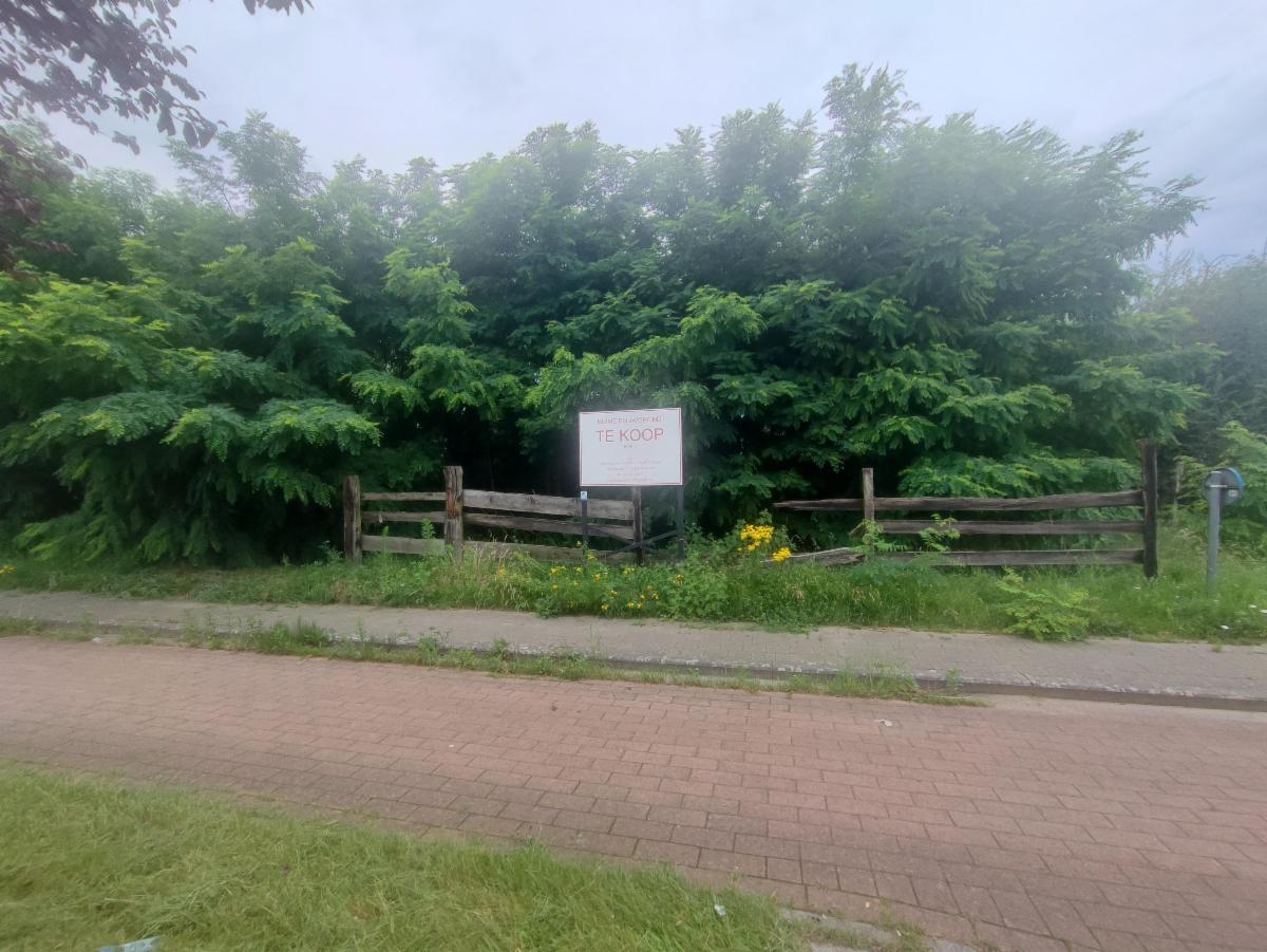 Image de présentation du bien n° 298365