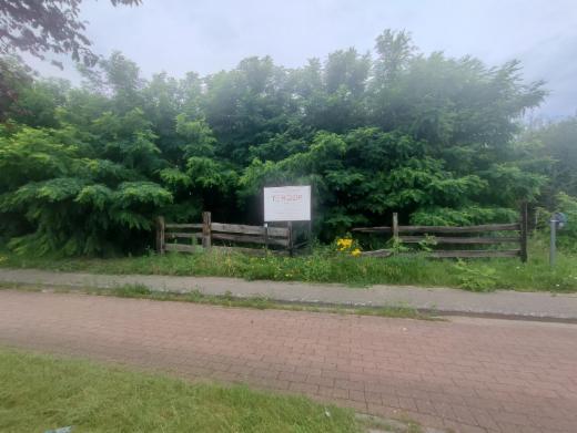 Image de présentation du bien n° 298365