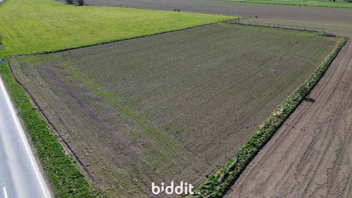 Image de présentation du bien n° 291693