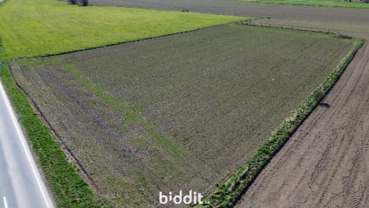 Image de présentation du bien n° 291693