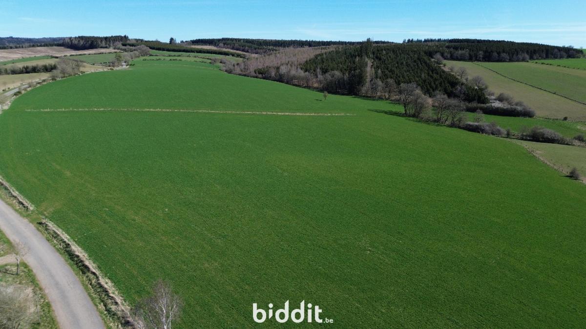 Image de présentation du bien n° 291703