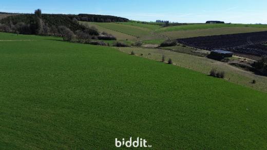 Première photo alternative du bien