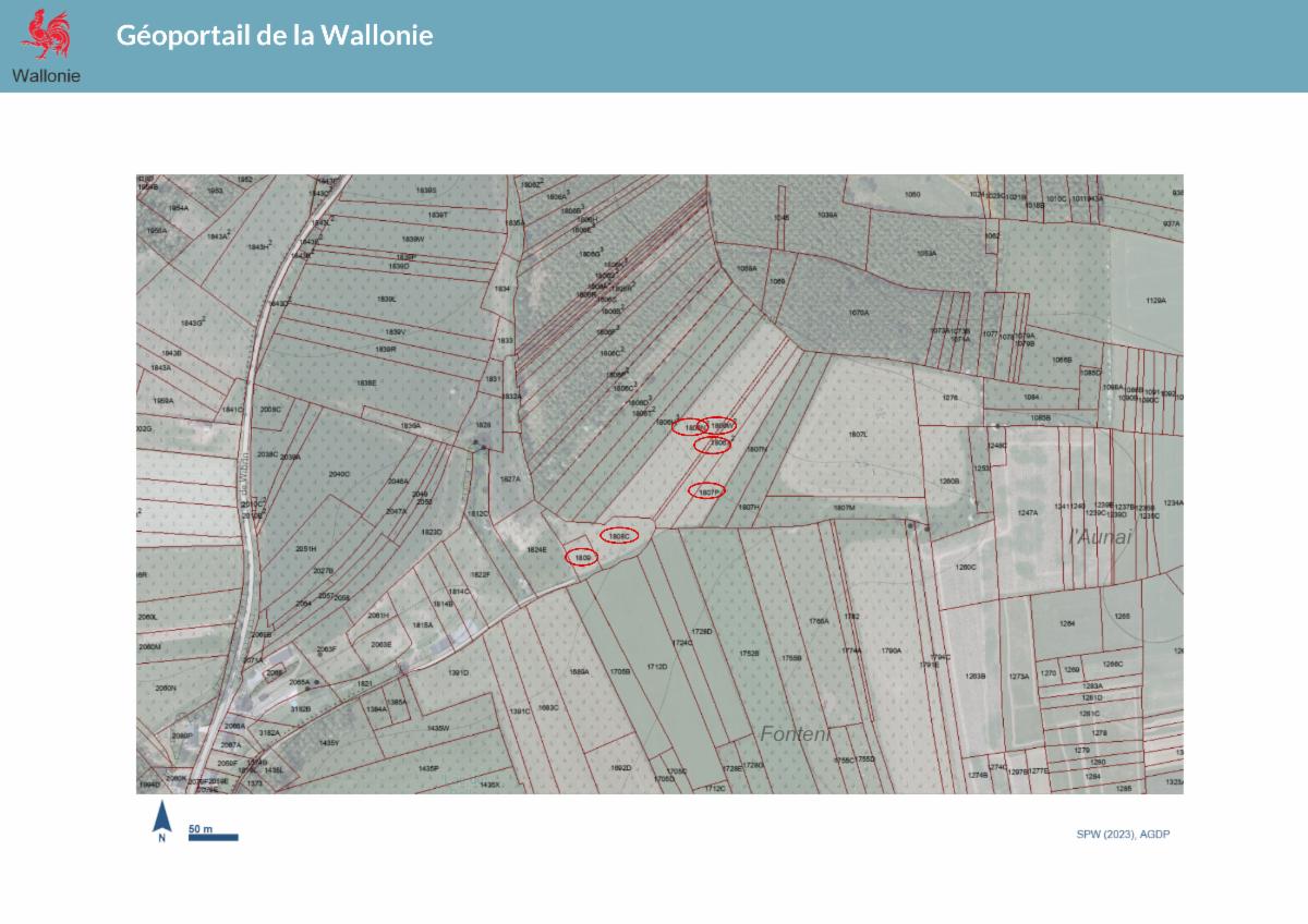 Image de présentation du bien n° 301272