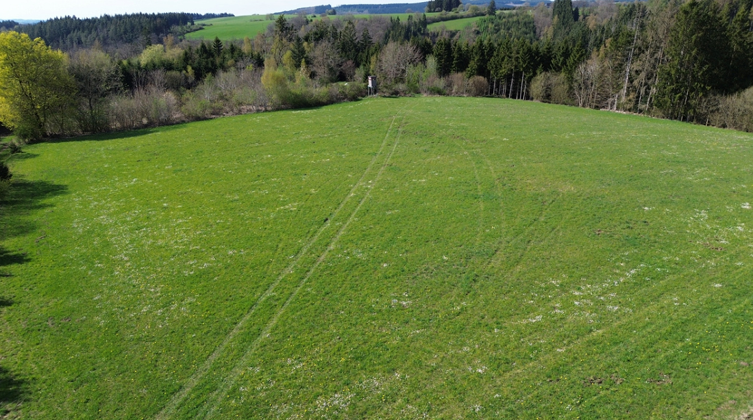 Image de présentation du bien n° 301299