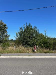 Image de présentation du bien n° 285335
