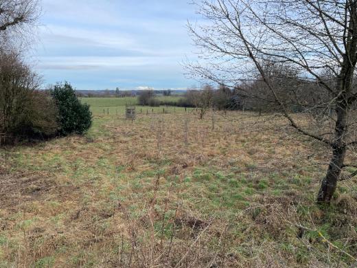 Première photo alternative du bien