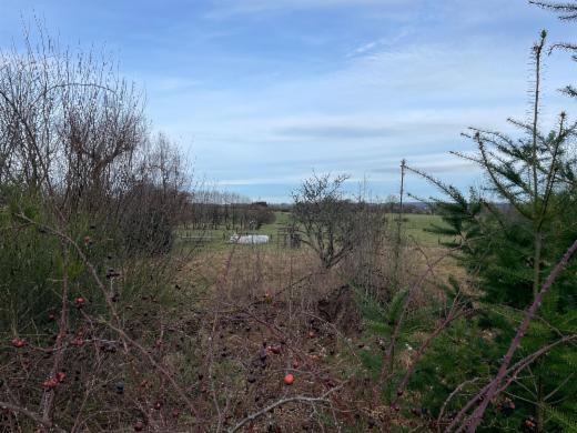 Première photo alternative du bien