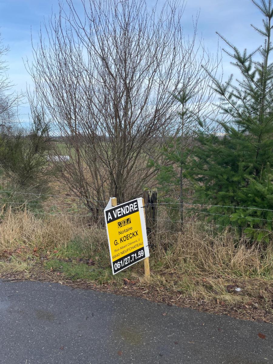 Image de présentation du bien n° 291758