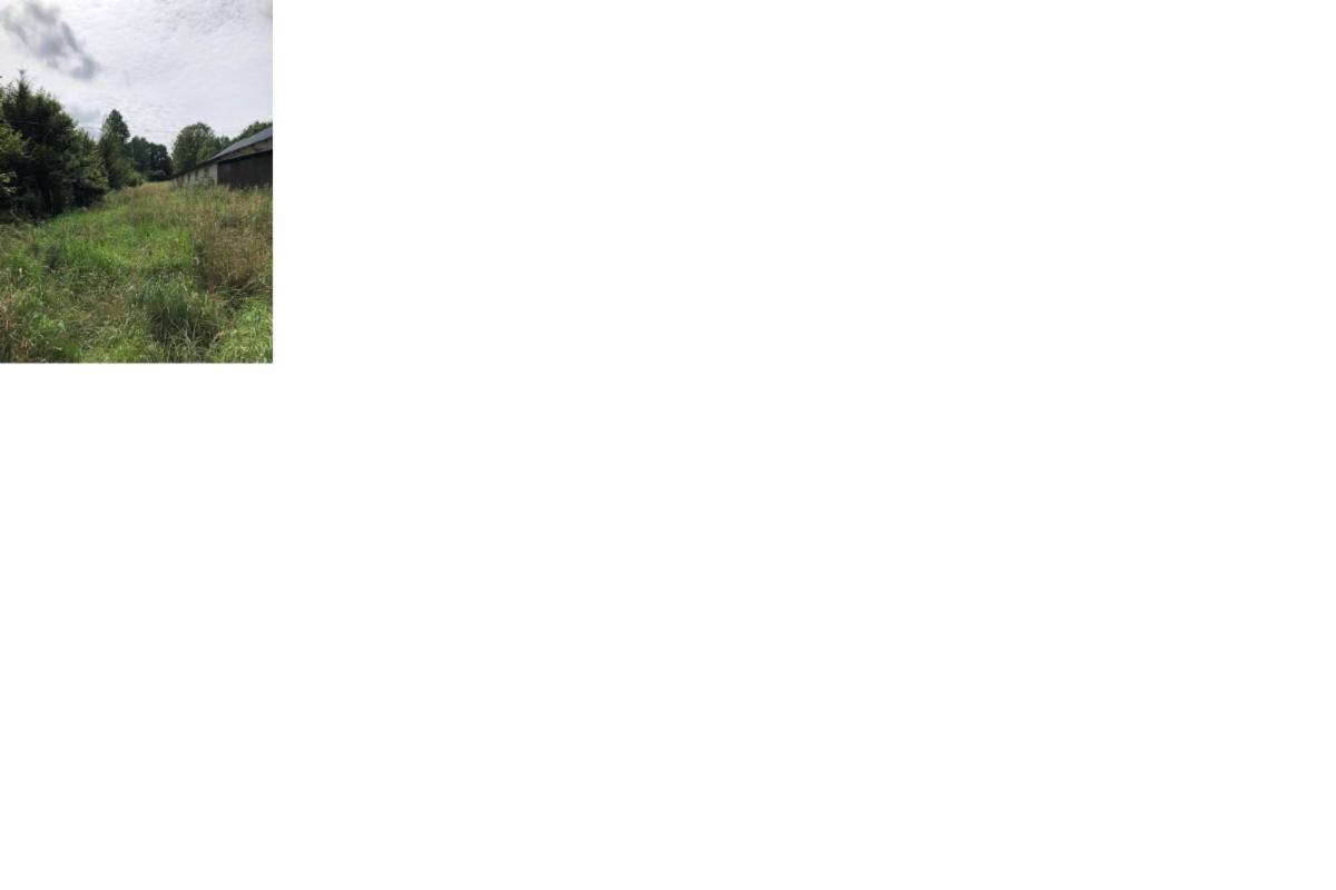 Image de présentation du bien n° 303816