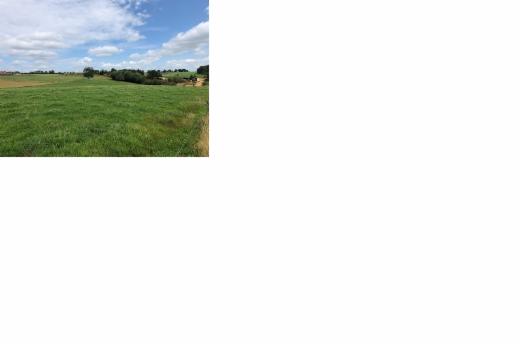 Image de présentation du bien n° 303819