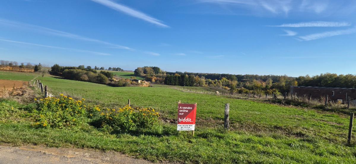 Image de présentation du bien n° 303819