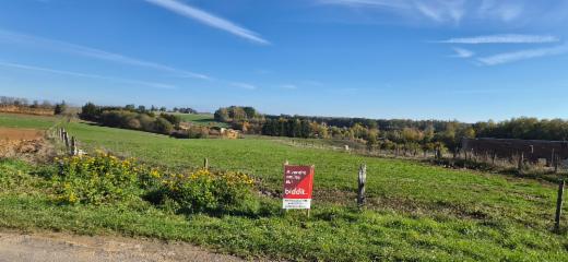 Image de présentation du bien n° 303819