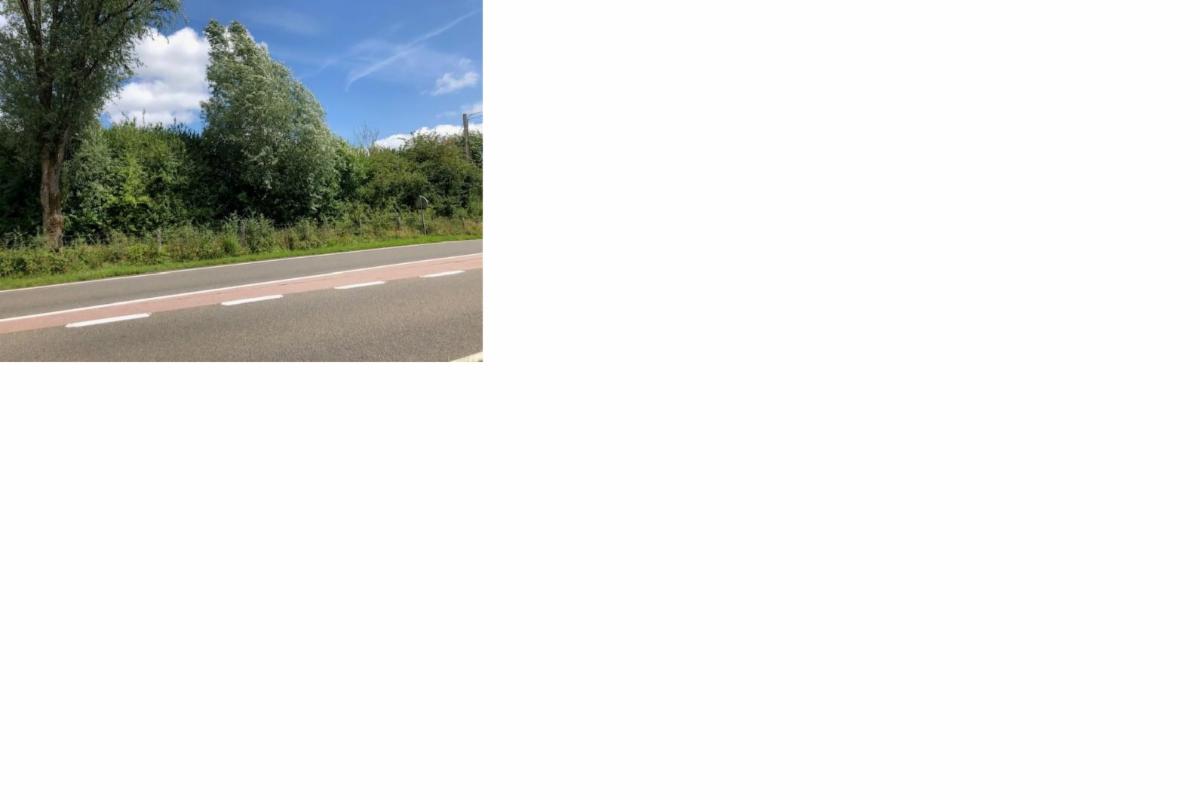 Image de présentation du bien n° 303823