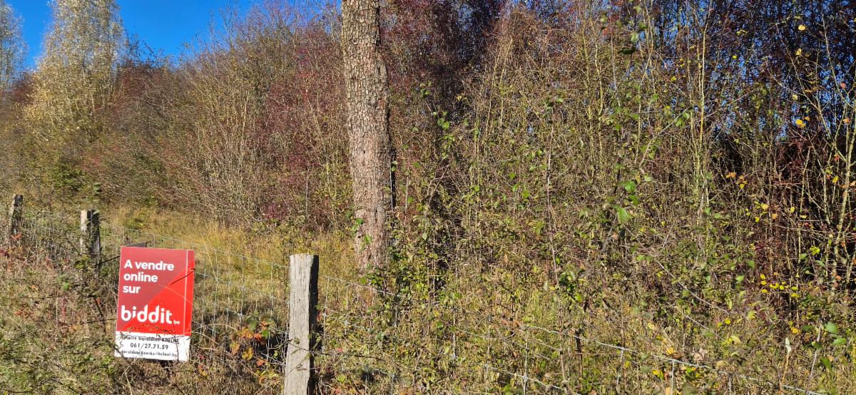 Image de présentation du bien n° 303823