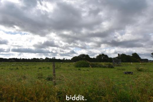 Image de présentation du bien n° 286704