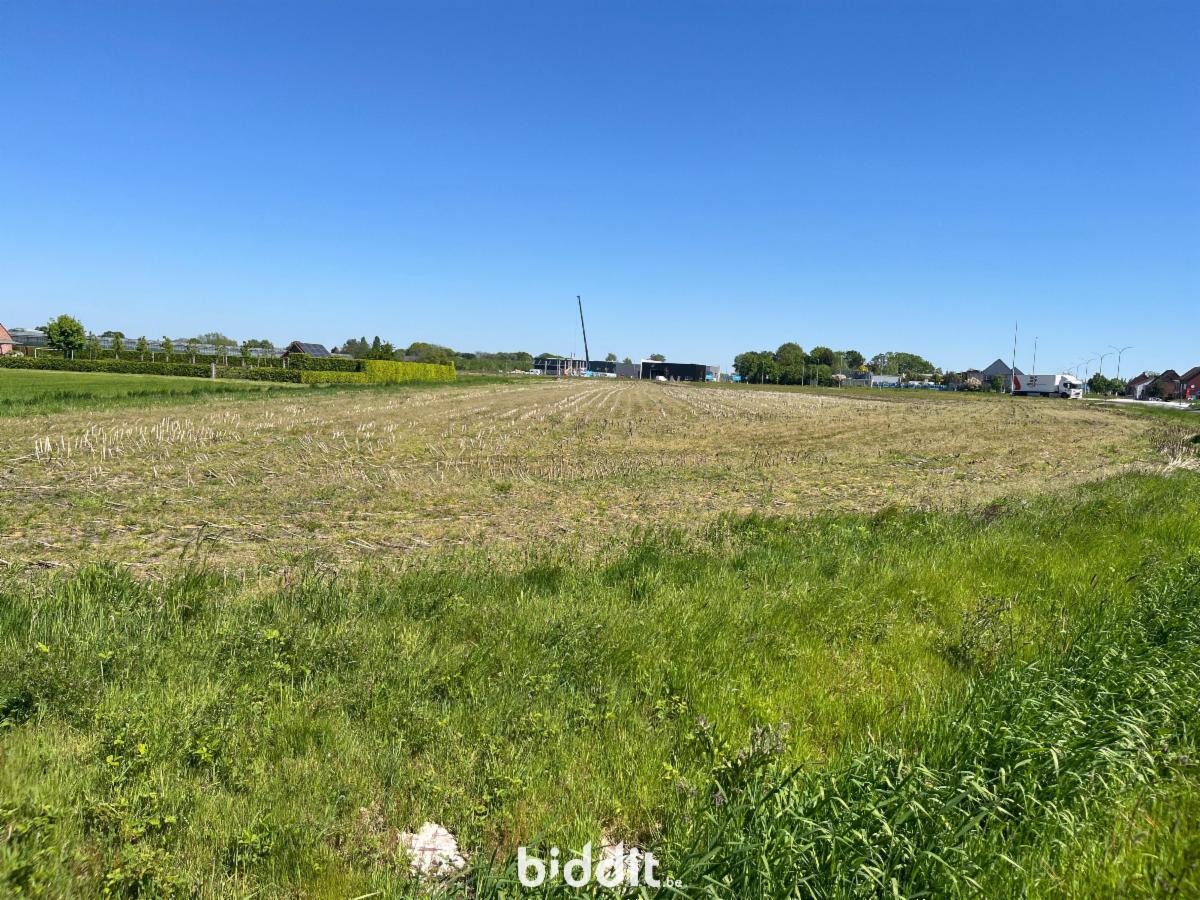 Image de présentation du bien n° 296129