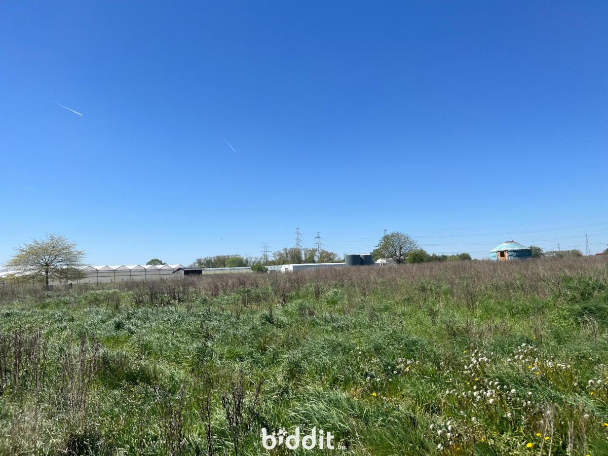 Image de présentation du bien n° 296145