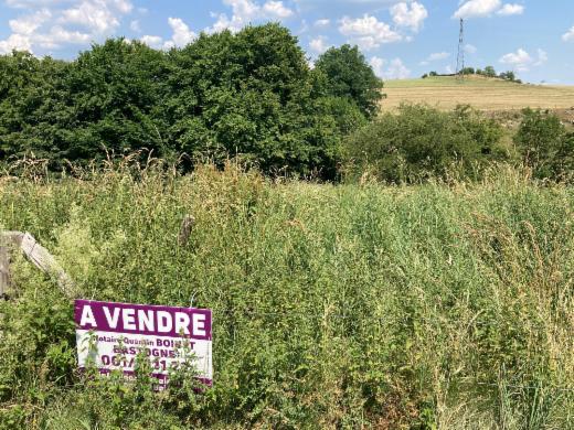 Image de présentation du bien n° 283984