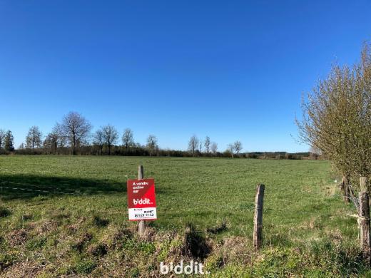 Image de présentation du bien n° 294625