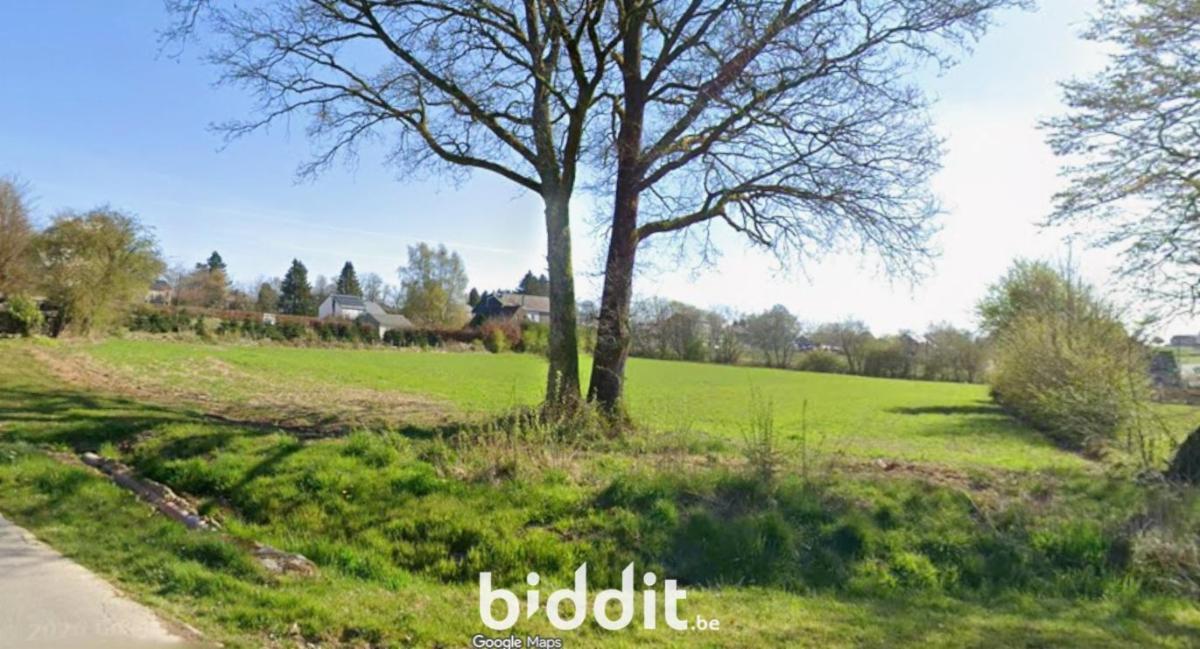 Image de présentation du bien n° 294626