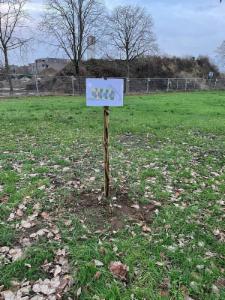 Image de présentation du bien n° 290119