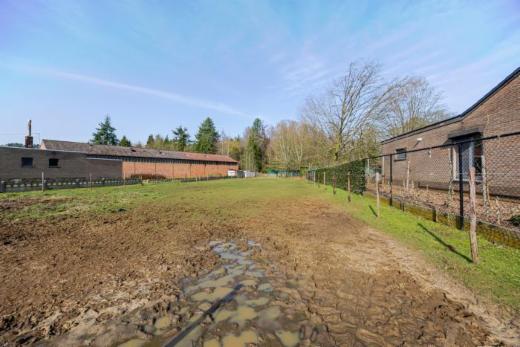 Troisième photo alternative du bien