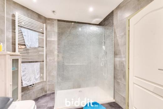 Première photo alternative du bien